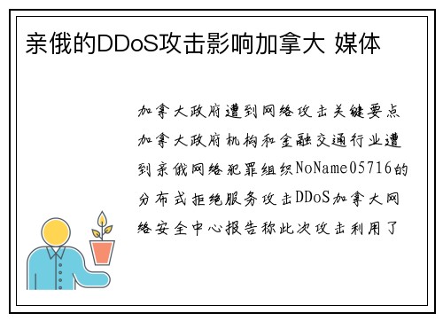 亲俄的DDoS攻击影响加拿大 媒体