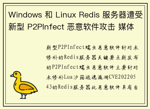 Windows 和 Linux Redis 服务器遭受新型 P2PInfect 恶意软件攻击 媒体